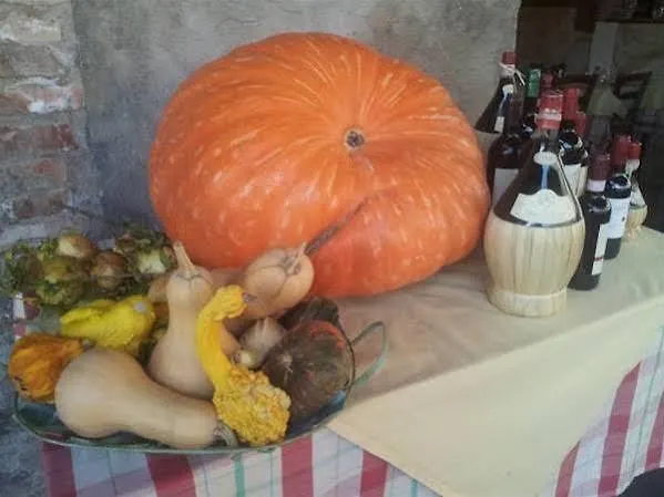 B&B Al Mercato Di Elca Srl 3*